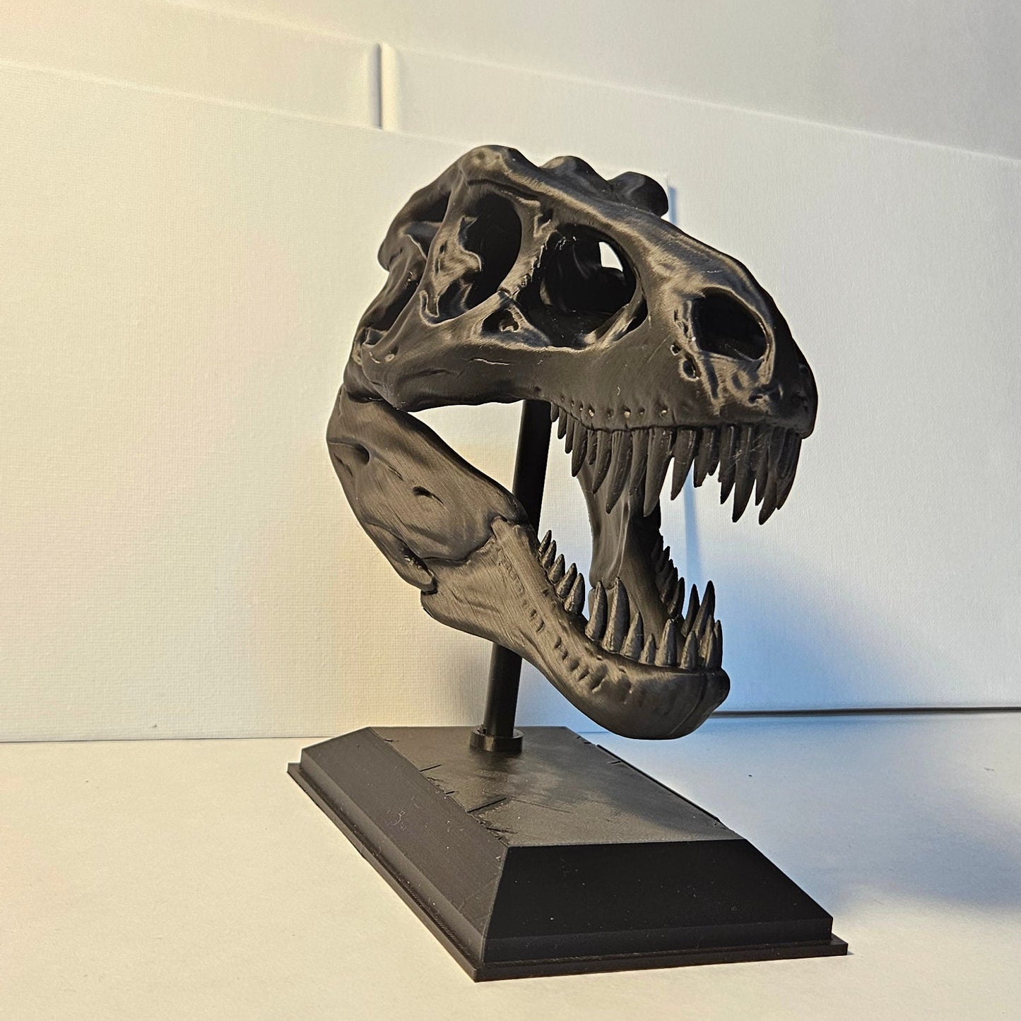 T-Rex Skull on Display with Stand